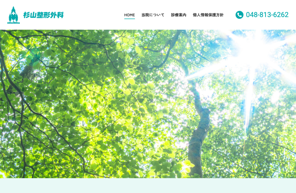 杉山整形外科