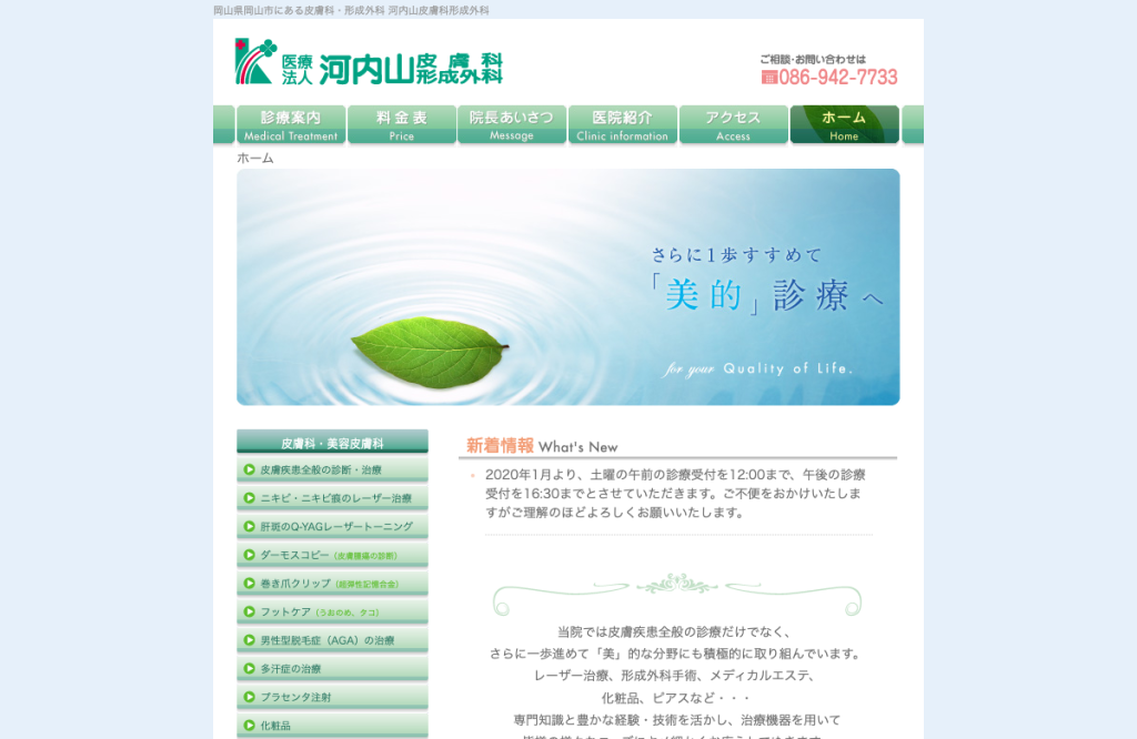 河内山皮膚科形成外科